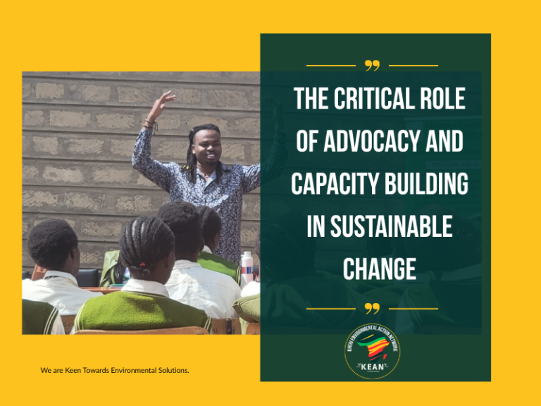 The Critical Role of Advocacy and Capacity Building in Sustainable Change