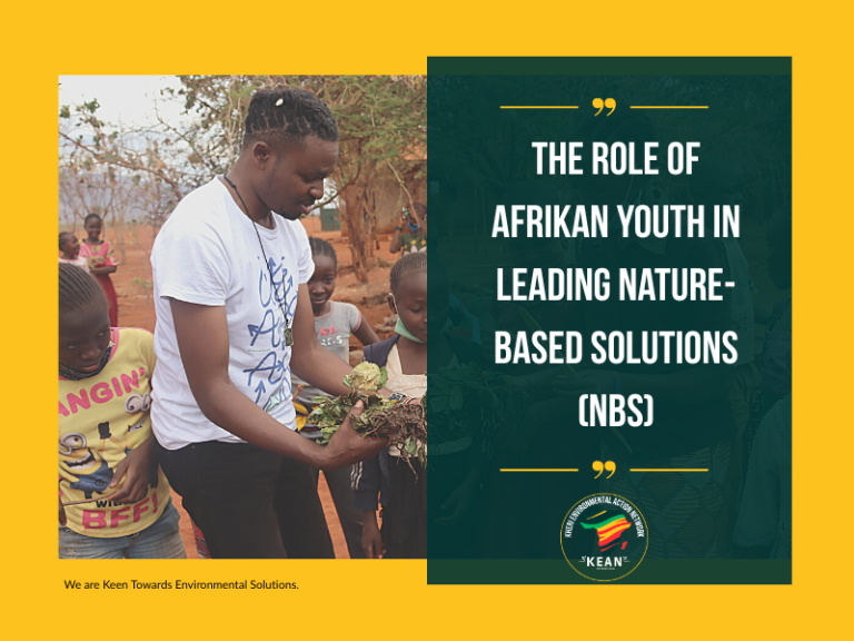 The Role of Afrikan Youth in Leading Nature-based Solutions (NbS)