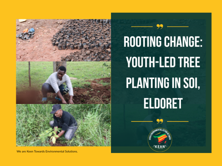 Rooting Change: Youth-Led Tree Planting in Soi, Eldoret