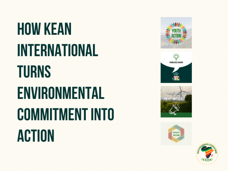 How KEAN International Turns Environmental Commitment into Action