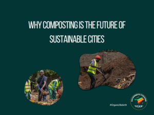 Why Composting is the Future of Sustainable Cities