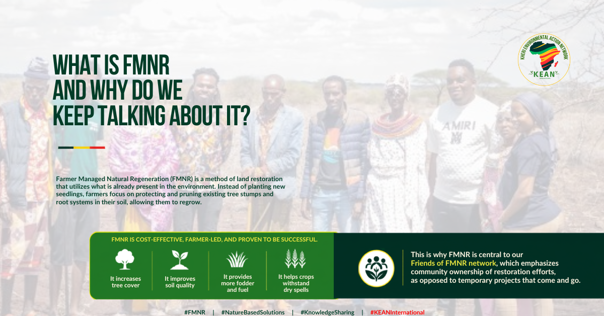 A Sustainable Approach to Land Restoration