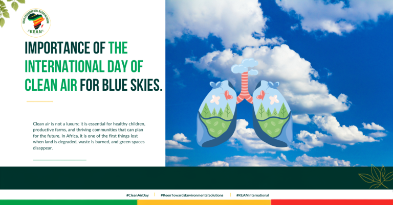 Importance of the International Day of Clean Air for Blue Skies.